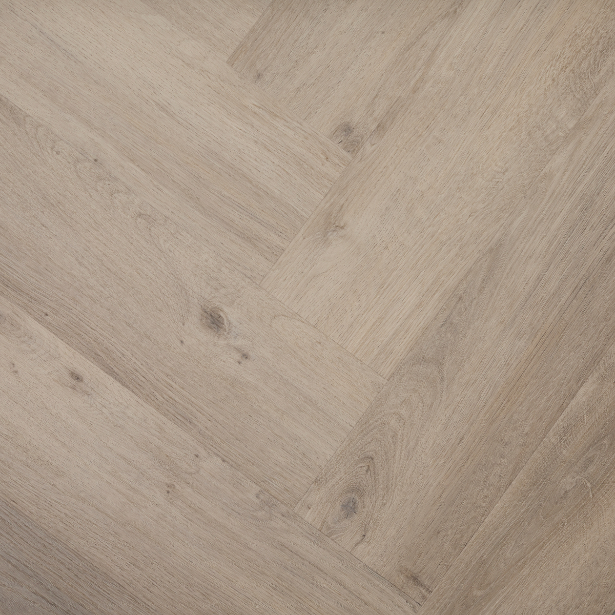 Probe Lausitzer Eiche - Fischgrät